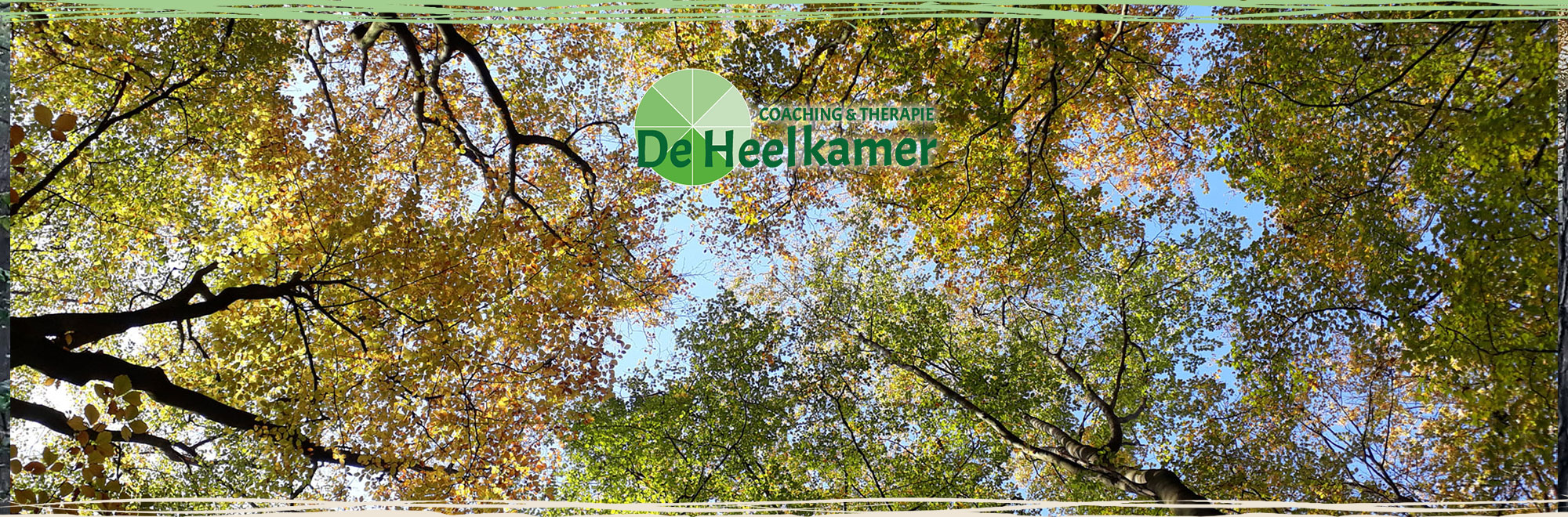 Headerfoto van een bladerdek en een blauwe hemel