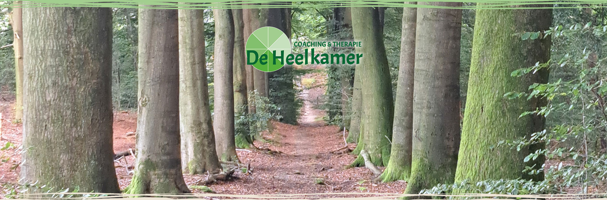 Headerfoto van een bospad met oude bomen aan weerszijden