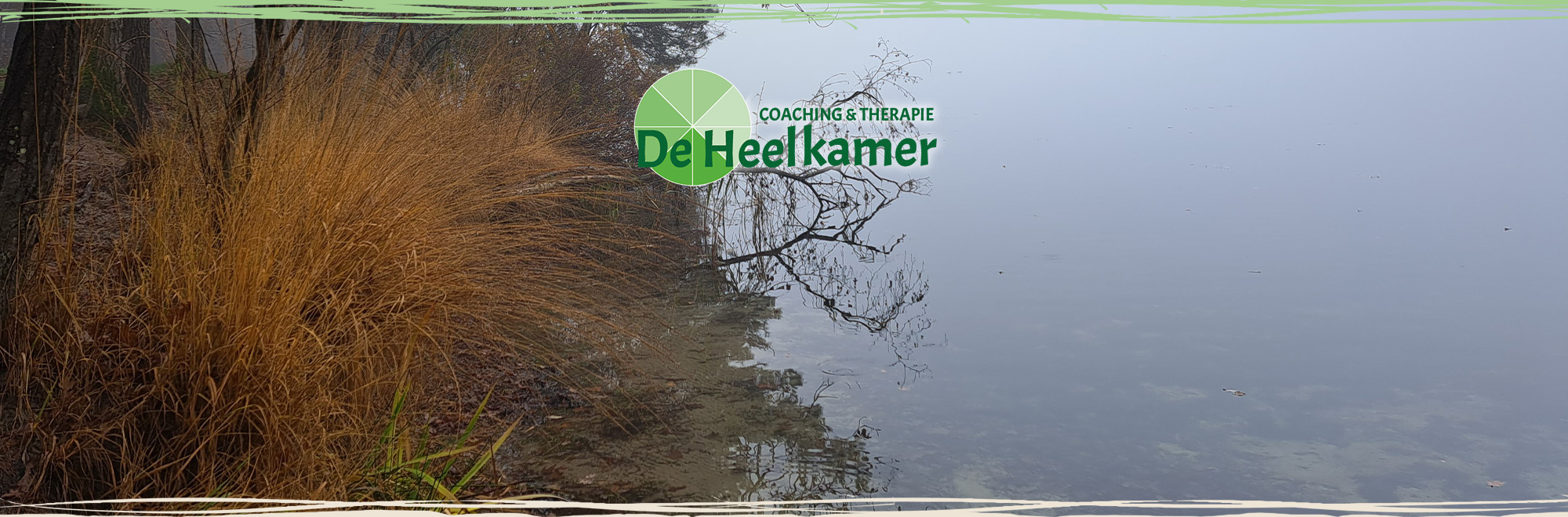 Headerfoto van helder water en een begroeide oever